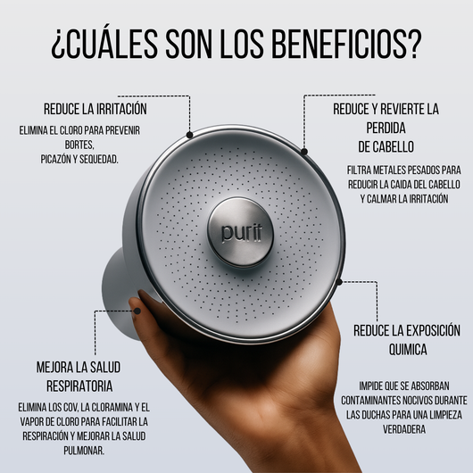 Cabezal de ducha con filtro - Purri