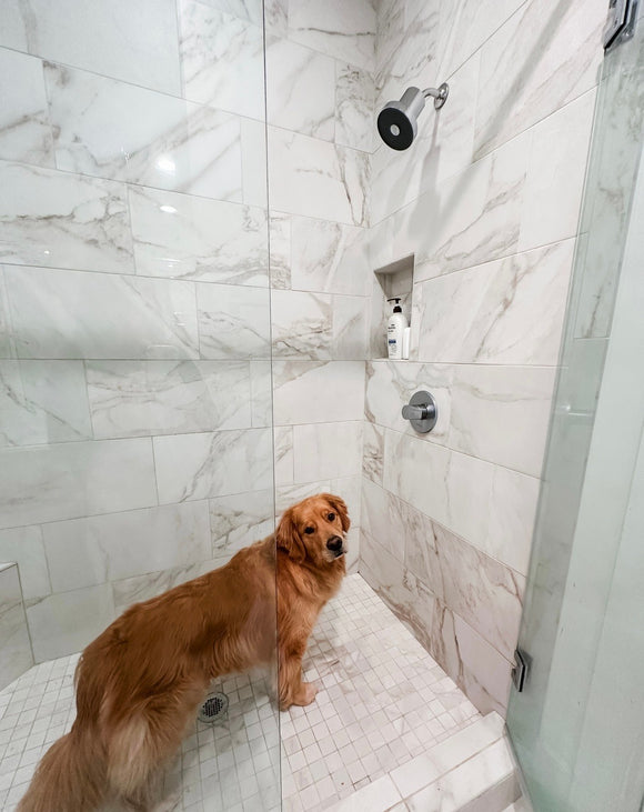 Feature product image